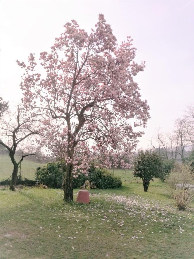 Casale Cadeloro Nebbiuno Exterior foto