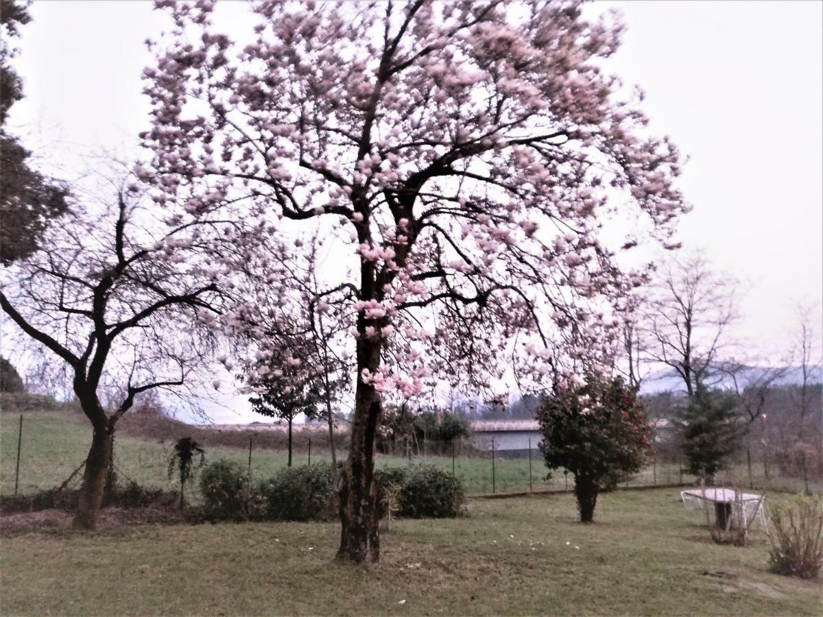 Casale Cadeloro Nebbiuno Exterior foto
